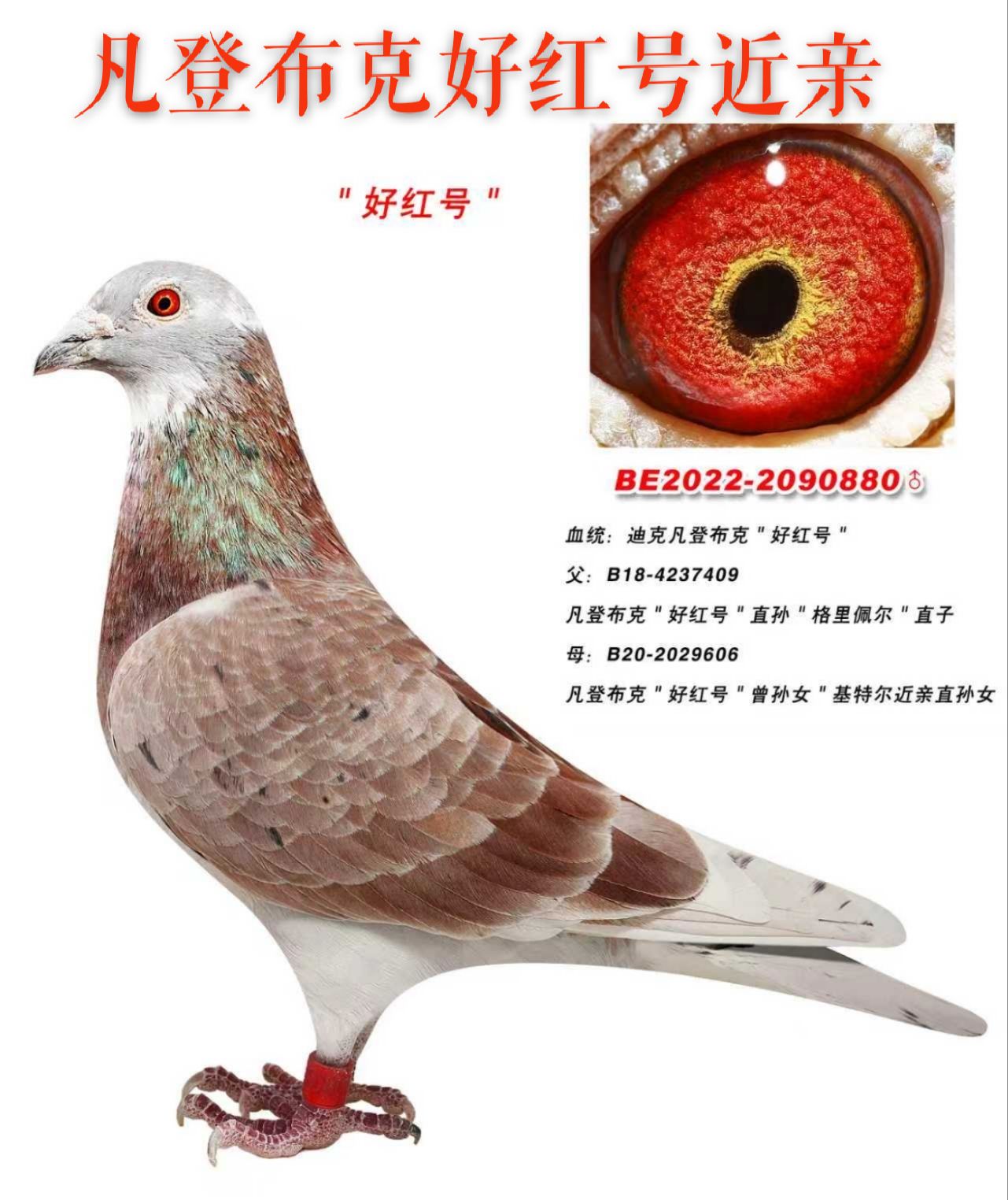 ����TA�ĸ�����