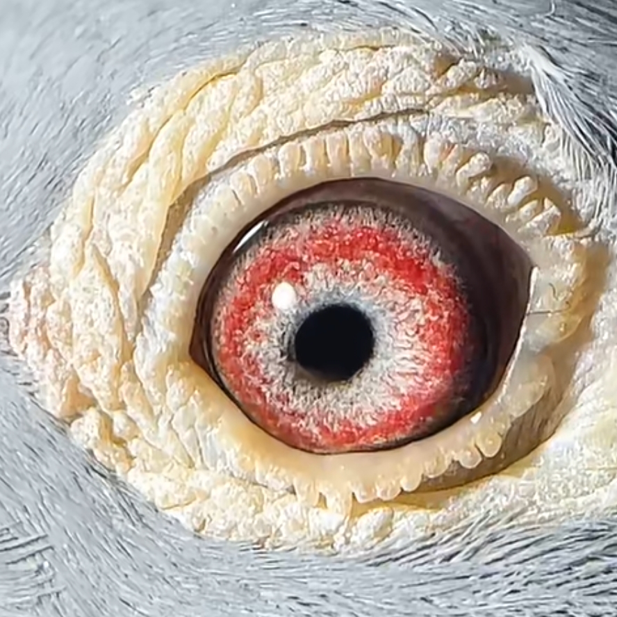 ����TA�ĸ�����