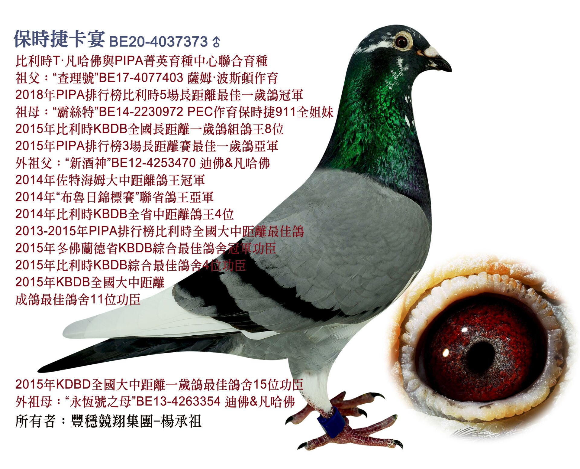 ����TA�ĸ�����