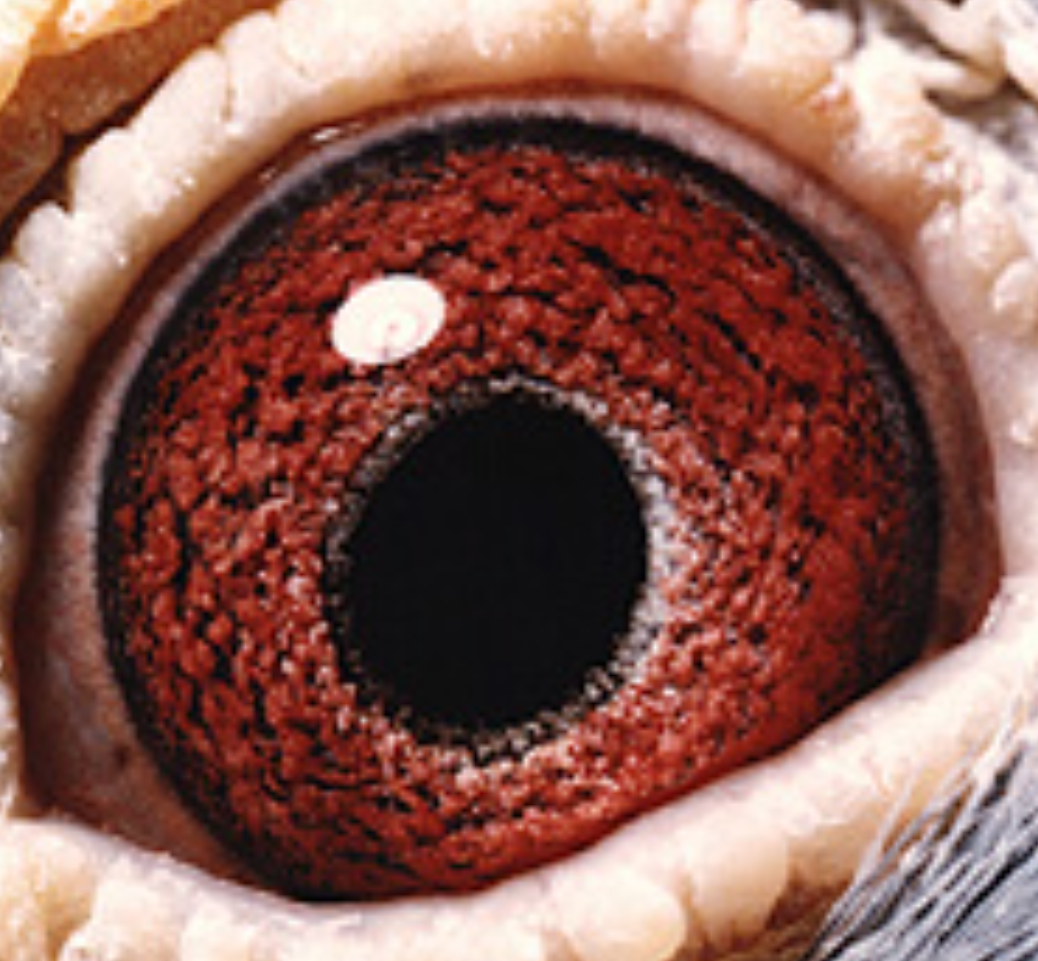 ����TA�ĸ�����