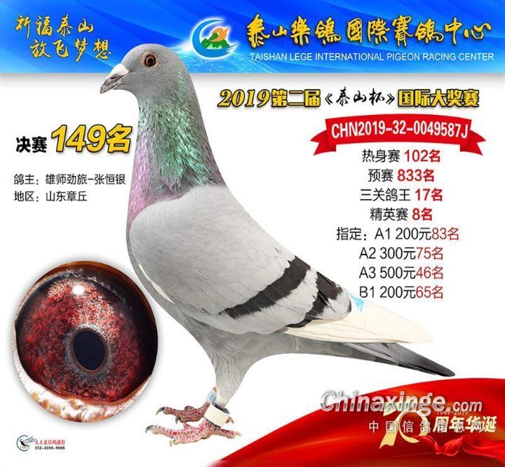 ��ʦ�����ź�������