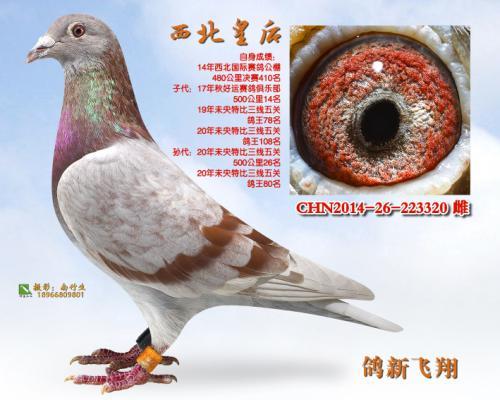 ���·���