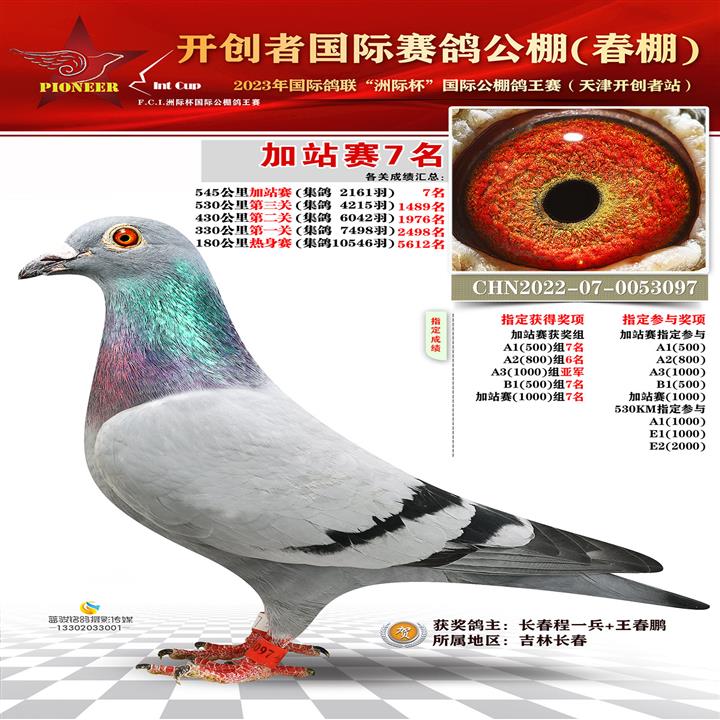 ���Ŀ�������-������