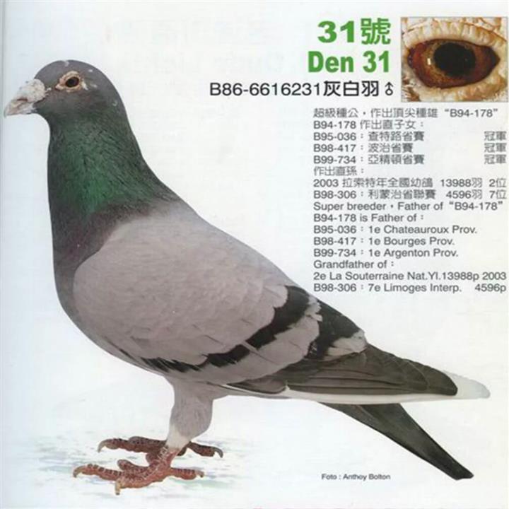 �S�����輯�F