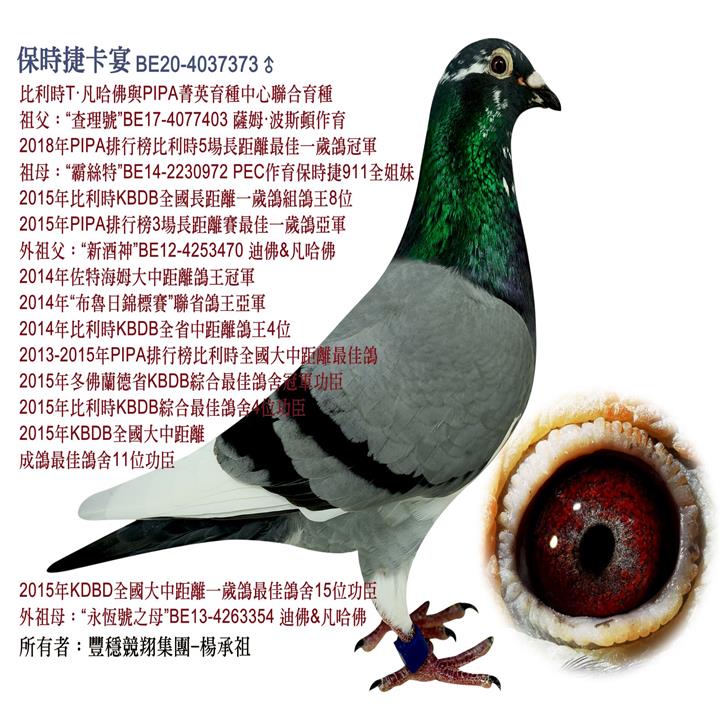 �S�����輯�F