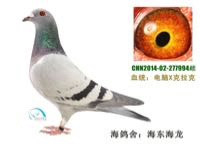 ����TA�ĸ�����