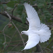 ����TA�ĸ�����