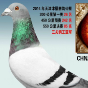 ����TA�ĸ�����