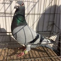 ����TA�ĸ�����