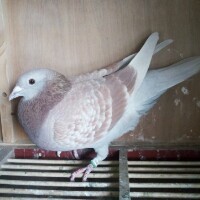 ����TA�ĸ�����