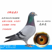 ����TA�ĸ�����