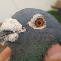 ����TA�ĸ�����