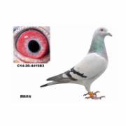 ����TA�ĸ�����