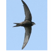 ����TA�ĸ�����