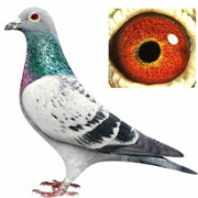 ����TA�ĸ�����