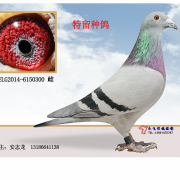 ����TA�ĸ�����