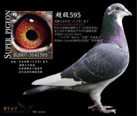 ����TA�ĸ�����