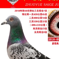 ����TA�ĸ�����