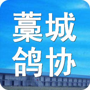 藁城市2019gdp_藁城市地图