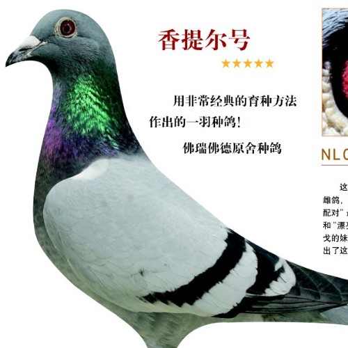 ����TA�ĸ�����