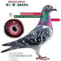 ����TA�ĸ�����