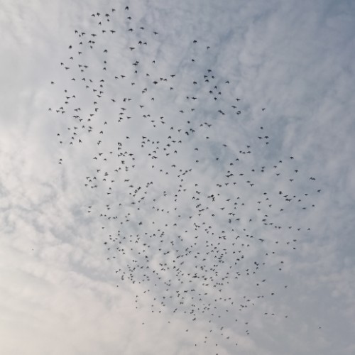 ����TA�ĸ�����