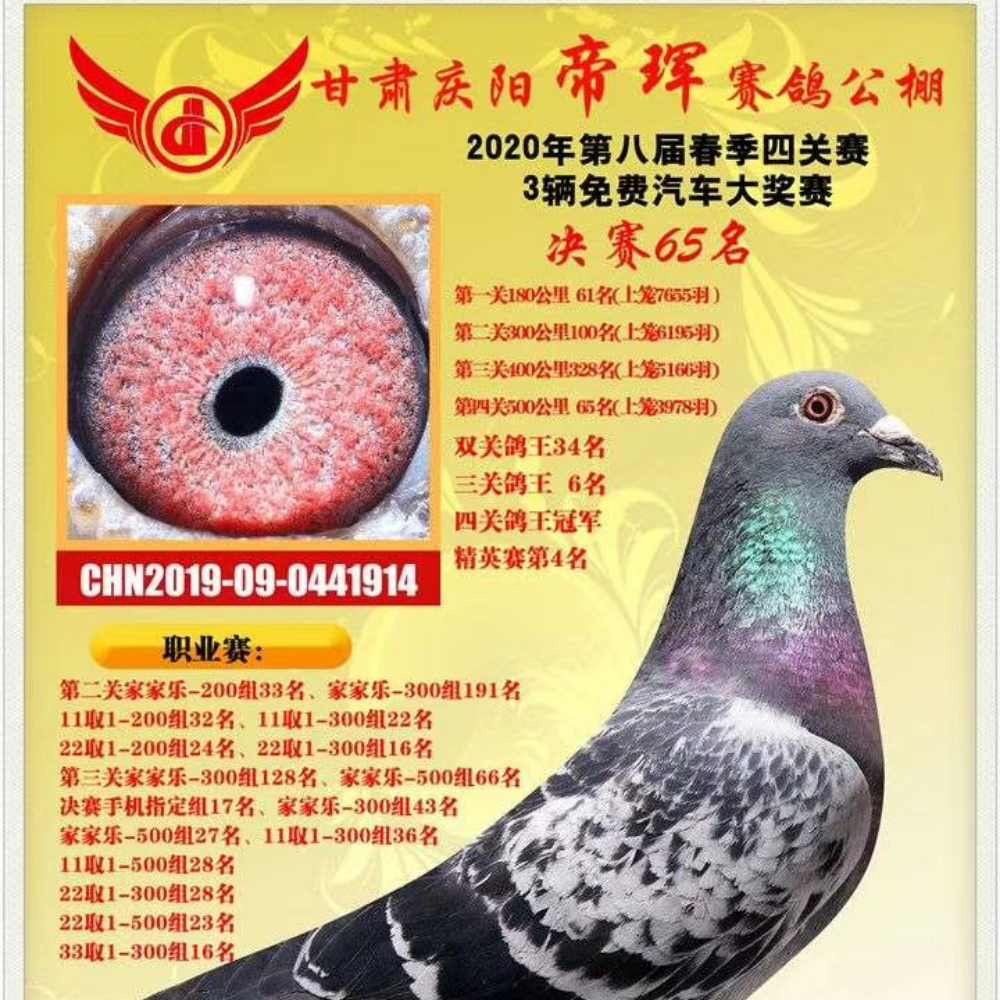 看看TA的鸽舍简介