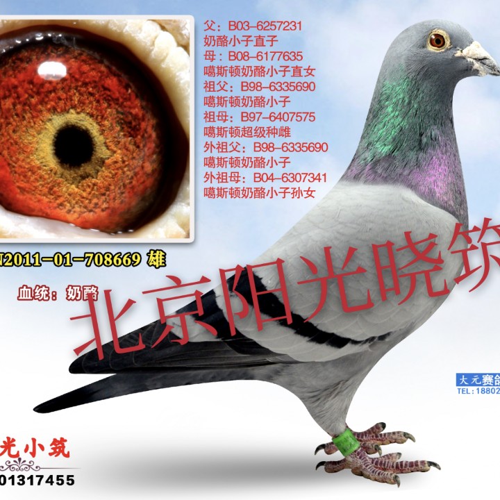 ����TA�ĸ�����