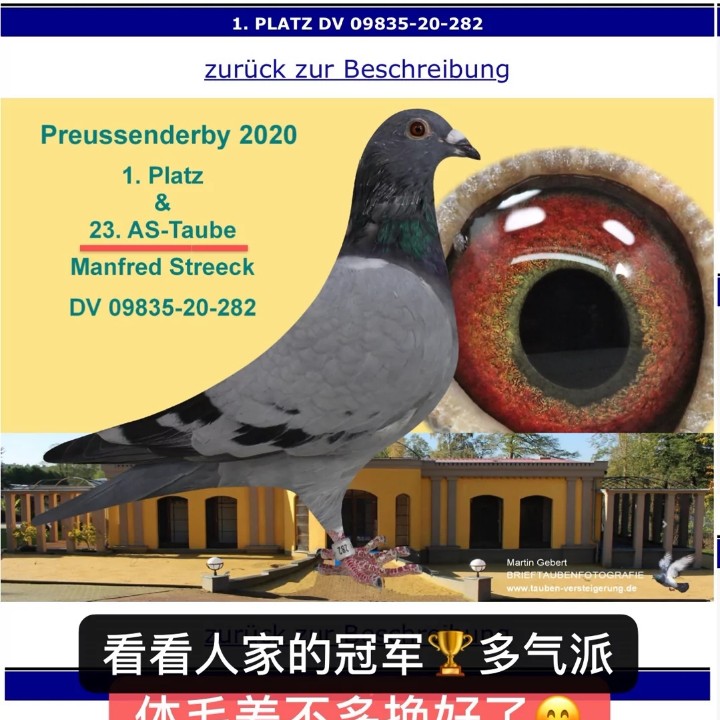 ����TA�ĸ�����