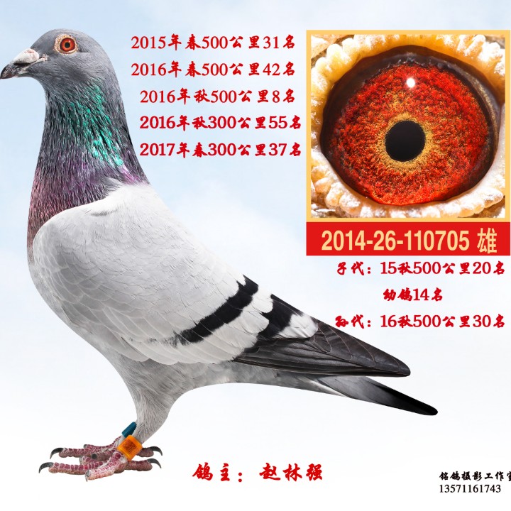 ����TA�ĸ�����