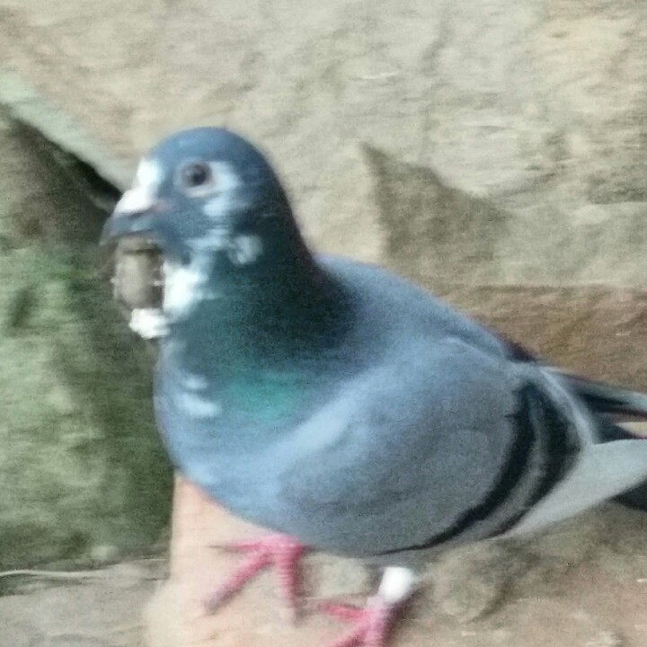 ����TA�ĸ�����