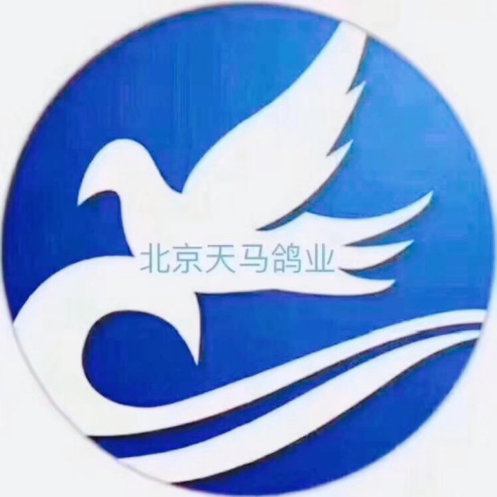 ����TA�ĸ�����