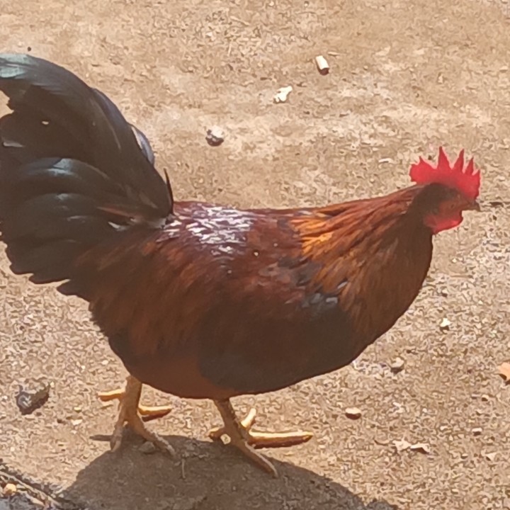 ����TA�ĸ�����