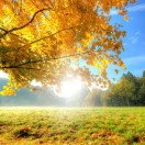 ����TA�ĸ�����