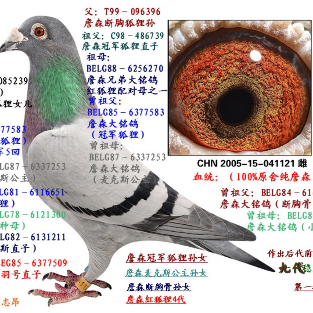 ����TA�ĸ�����