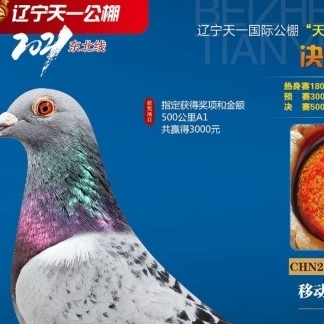 ����TA�ĸ�����