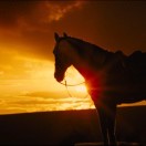 ����TA�ĸ�����