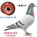 ����TA�ĸ�����