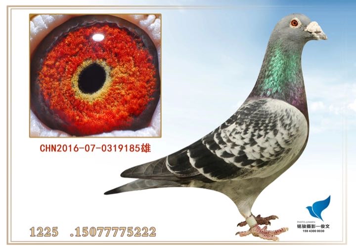 ����TA�ĸ�����