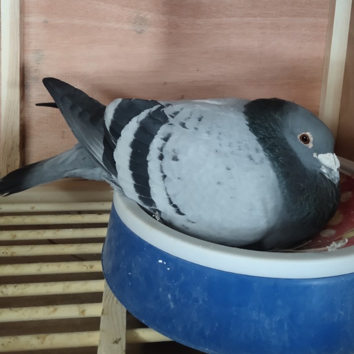 ����TA�ĸ�����