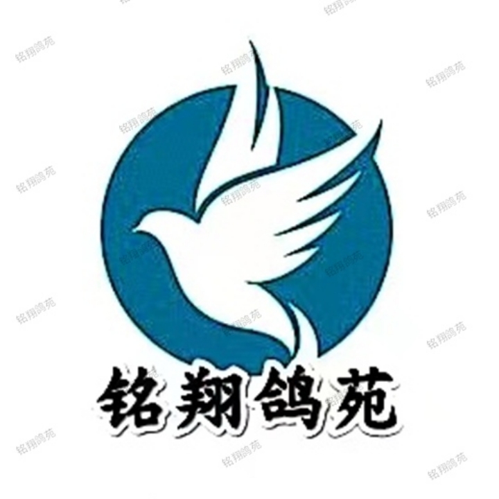 ����TA�ĸ�����