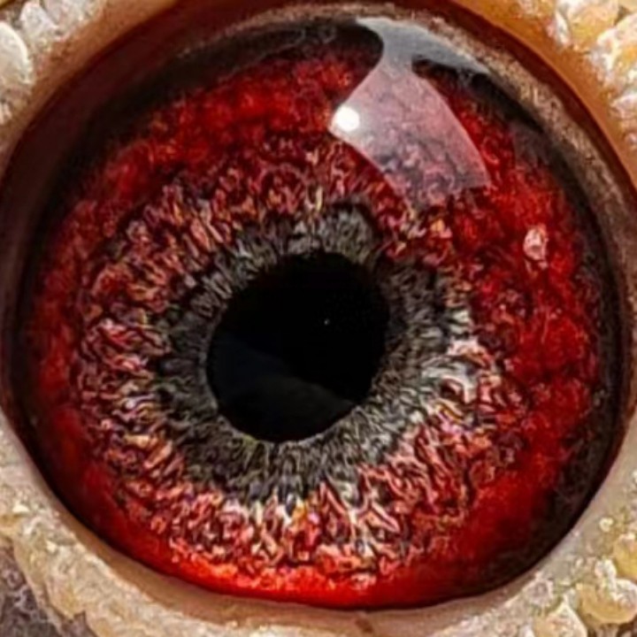 ����TA�ĸ�����