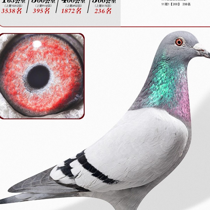 ����TA�ĸ�����