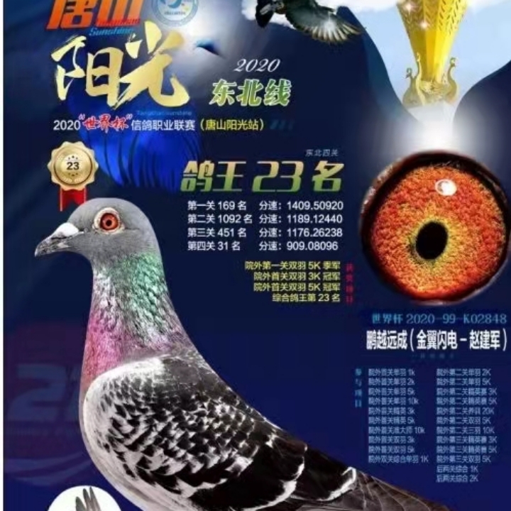 ����TA�ĸ�����