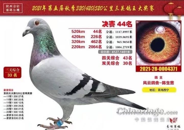 ����TA�ĸ�����