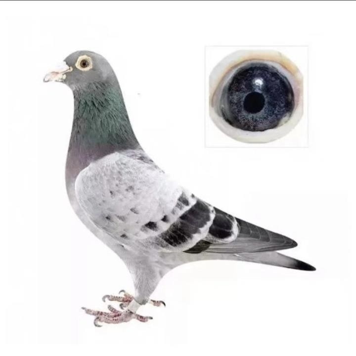 ����TA�ĸ�����