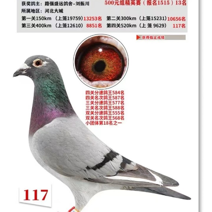 ����TA�ĸ�����