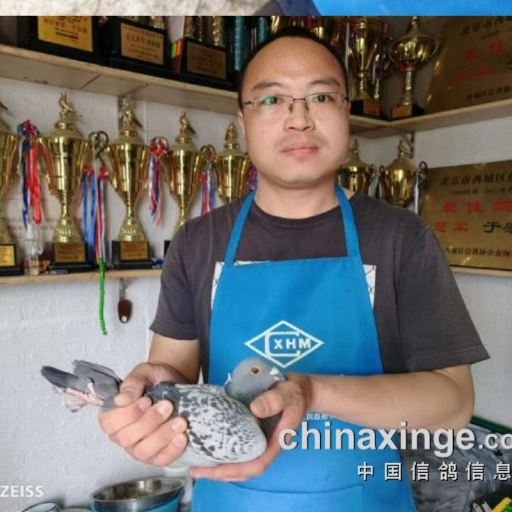 ����TA�ĸ�����