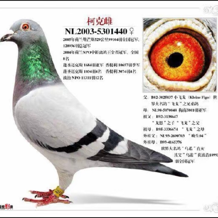 ����TA�ĸ�����