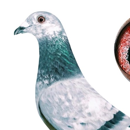 ����TA�ĸ�����